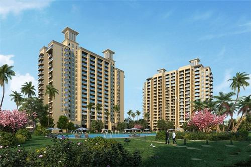 麦地初茶网红茶饮