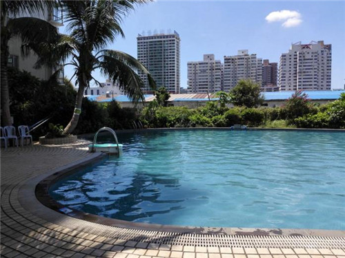 有芝青年芝士焗饭