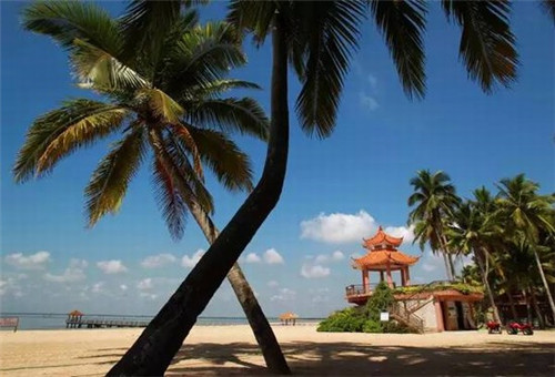 陶瓷茶具10大品牌