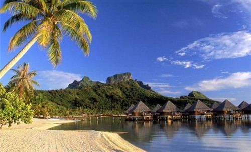 小泽生煎品牌的发展情况如何