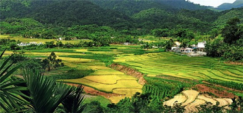 南召庙坡叫什么景点（南召庙坡叫什么景点来着）
