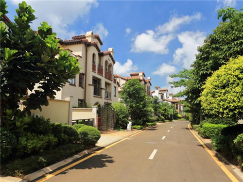 烟台的粉色沙滩在哪里（烟台粉黛花海在哪里）